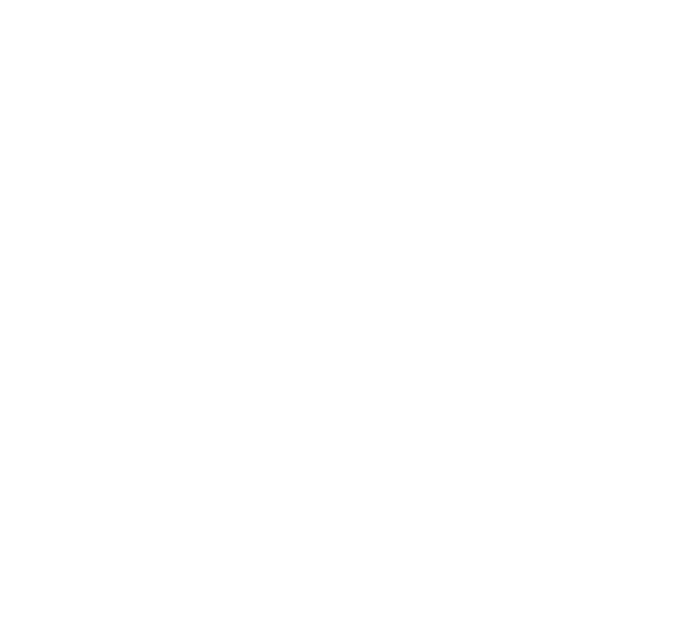 logo-axnom